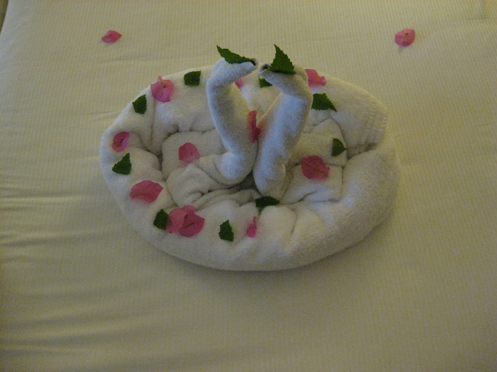 Vakantie Egypte 2010-457.jpg